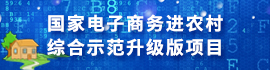 国家电子商务进农村综合示范升级版项目