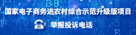 国家电子商务进农村综合示范升级版项目举报投诉电话