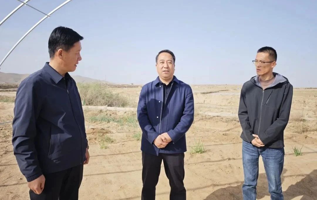 李晓清在乌兰镇调研工作