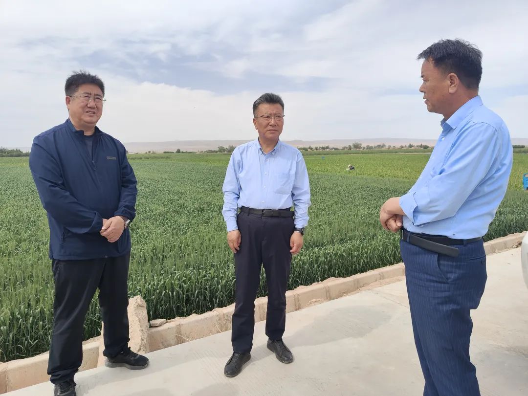 张延保在靖远县调研